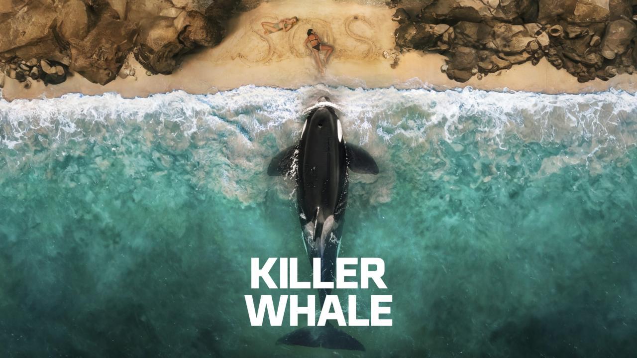 فيلم Killer Whale 2026 مترجم اون لاين HD